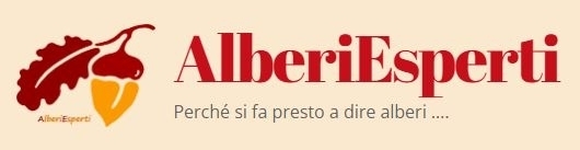 Cos'è AlberiEsperti - Lucio Montecchio